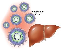 Hepatitis-B2