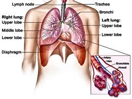 Severe Acute Respiratory Syndrome2