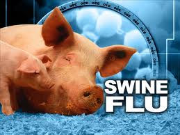 Swine Flu 2
