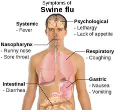Swine Flu 3