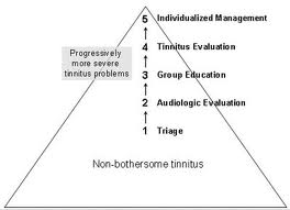 Tinnitus4